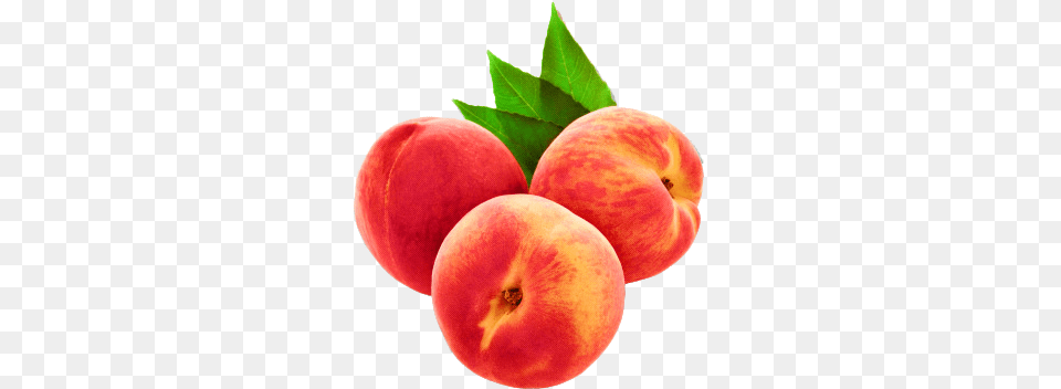 Peach Fruit Peaches Tumblr Freetoedit Freetoedit Aesthetic Tumblr, Apple, Food, Plant, Produce Free Transparent Png