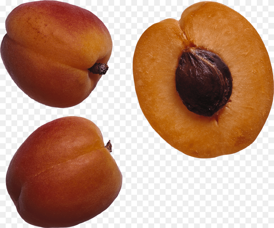 Peach Fruit Seeds, Animal, Bear, Mammal, Wildlife Free Png Download