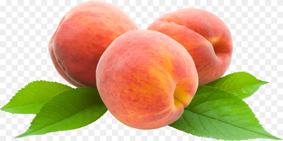 Peach Icon Cartoon Picture Of Peaches Free Png Download