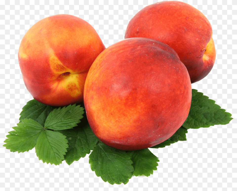 Peach Image 10 Duraznos, Food, Fruit, Plant, Produce Png