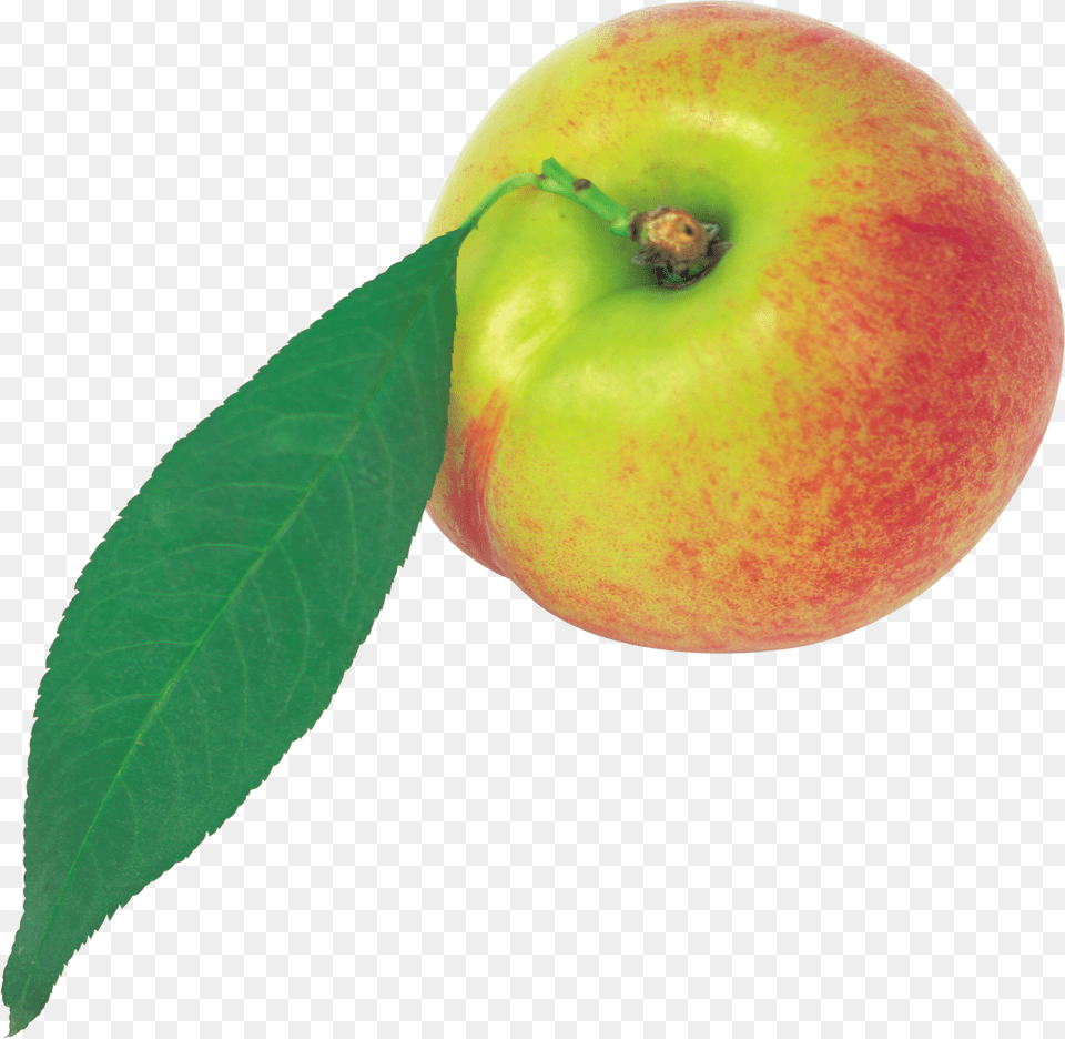 Peach Image, Apple, Food, Fruit, Plant Free Png Download