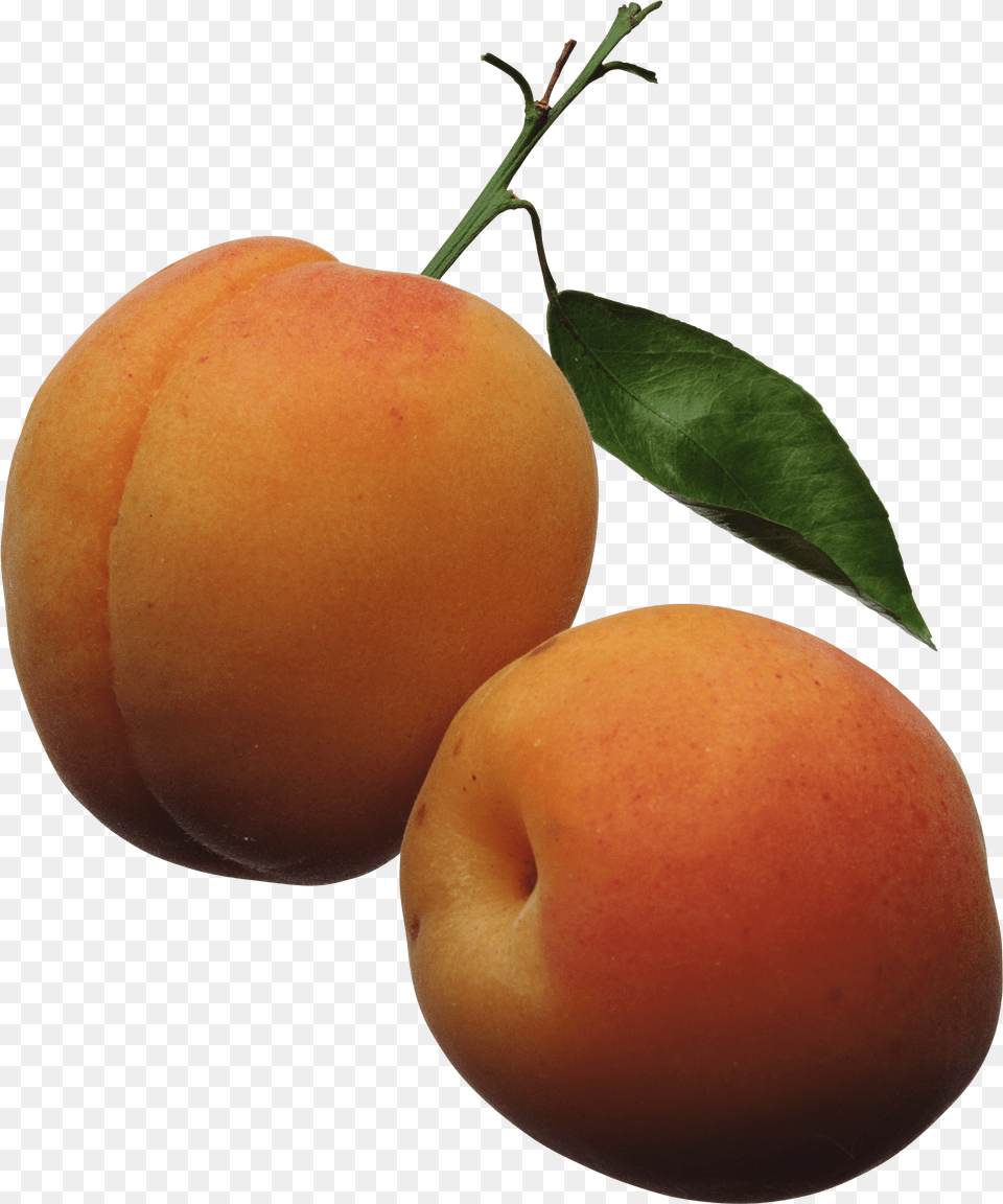 Peach Apricots Clipart Png Image