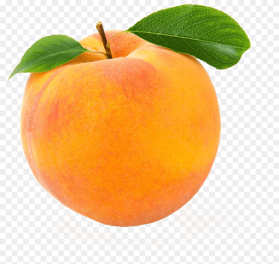 Peach Image Individual White Background Fruits And Vegetables, Food, Fruit, Plant, Produce Free Png
