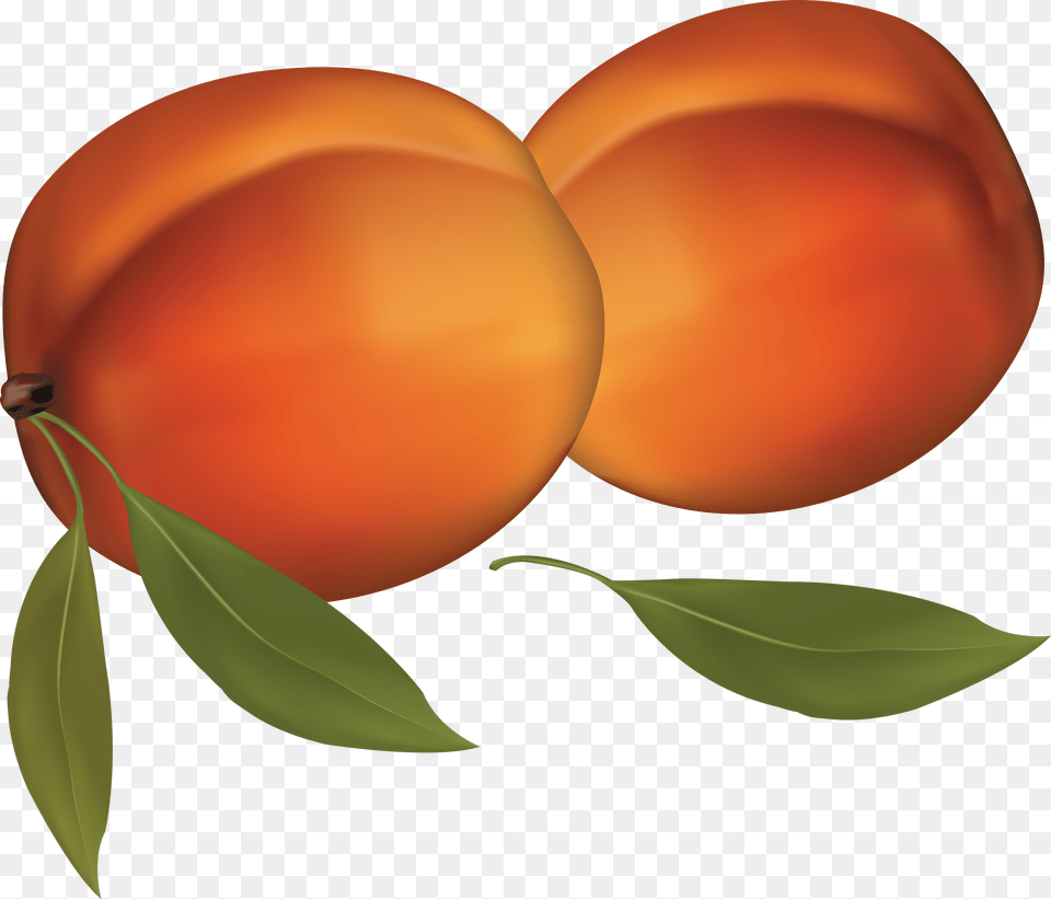 Peach Image Peaches Clipart Transparent Background, Food, Fruit, Plant, Produce Free Png