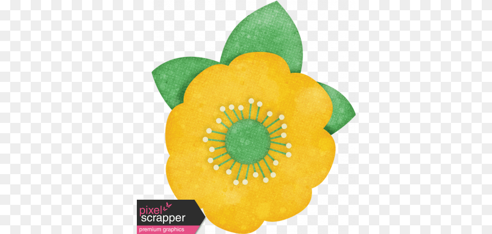 Peach Lemonade Yellow Flower 2 Graphic Dot, Anemone, Anther, Plant, Accessories Png