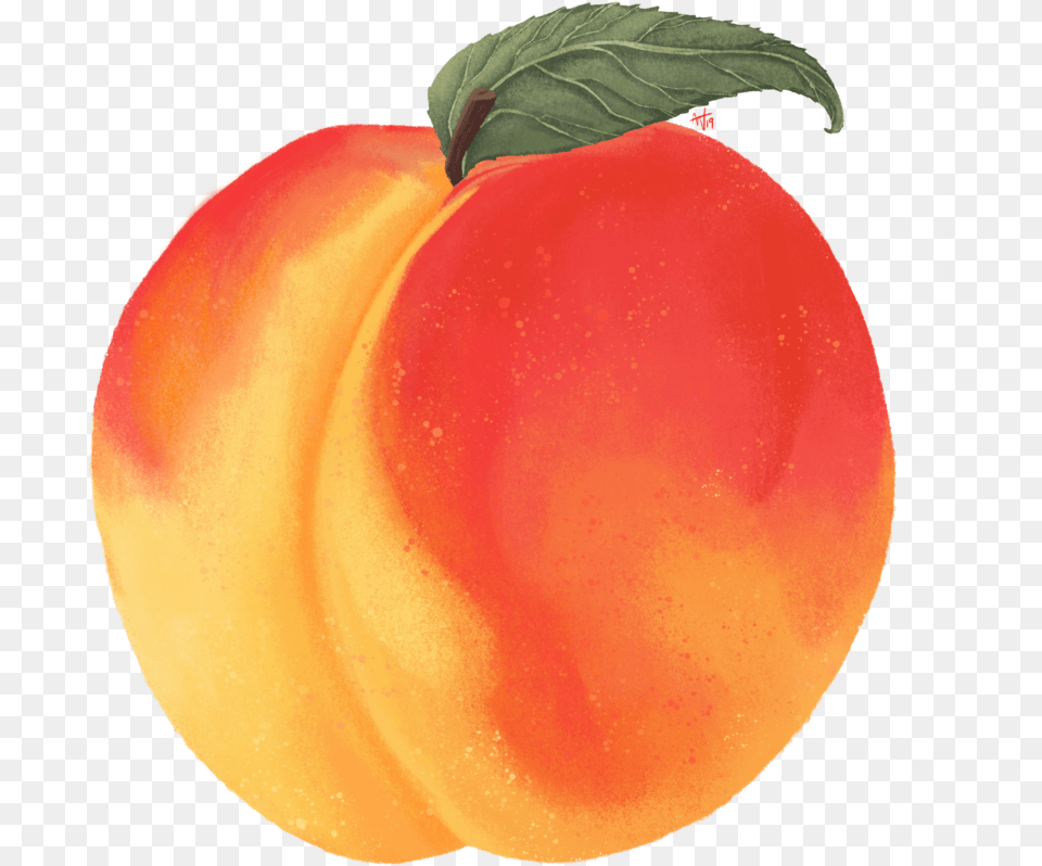 Peach Nectarine, Food, Fruit, Plant, Produce Png Image