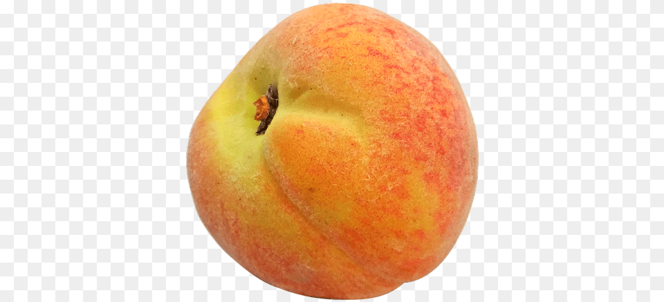 Peach Peaches Fruit Juicy Ripe Sweet Fresh Food Nectarines, Plant, Produce Png Image