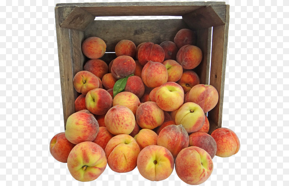 Peach Peaches Pennsylvania Amish Crate Fruit Caixote Com Frutas, Food, Plant, Produce Png Image