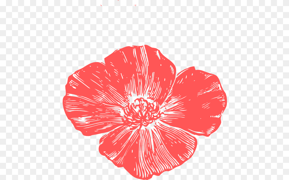 Peach Poppies Clip Art Flower Clipart Poppy, Anther, Plant, Petal, Hibiscus Png