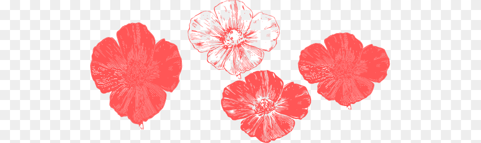 Peach Poppies Clip Art Peach Poppy Flower Clipart, Petal, Plant, Hibiscus Free Png Download