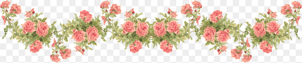 Peach Roses, Art, Floral Design, Graphics, Pattern Free Png Download