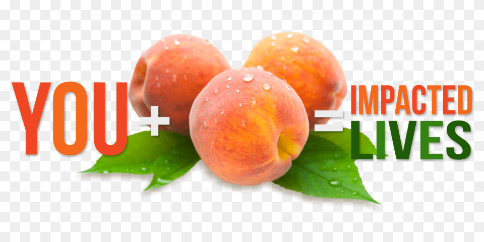 Peach Sale Badgerland Youth For Christ, Food, Fruit, Plant, Produce Free Png Download