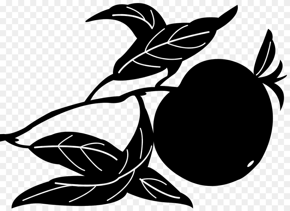 Peach Silhouette, Plant, Leaf, Food, Fruit Png Image