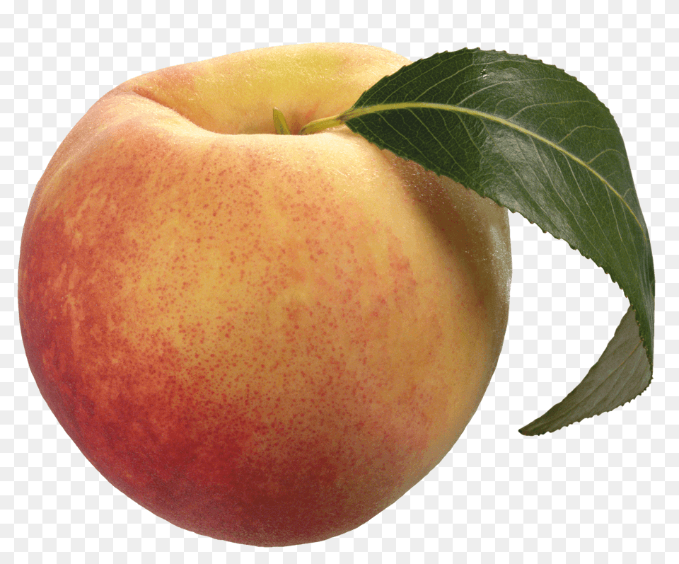 Peach Solo, Food, Fruit, Plant, Produce Png Image