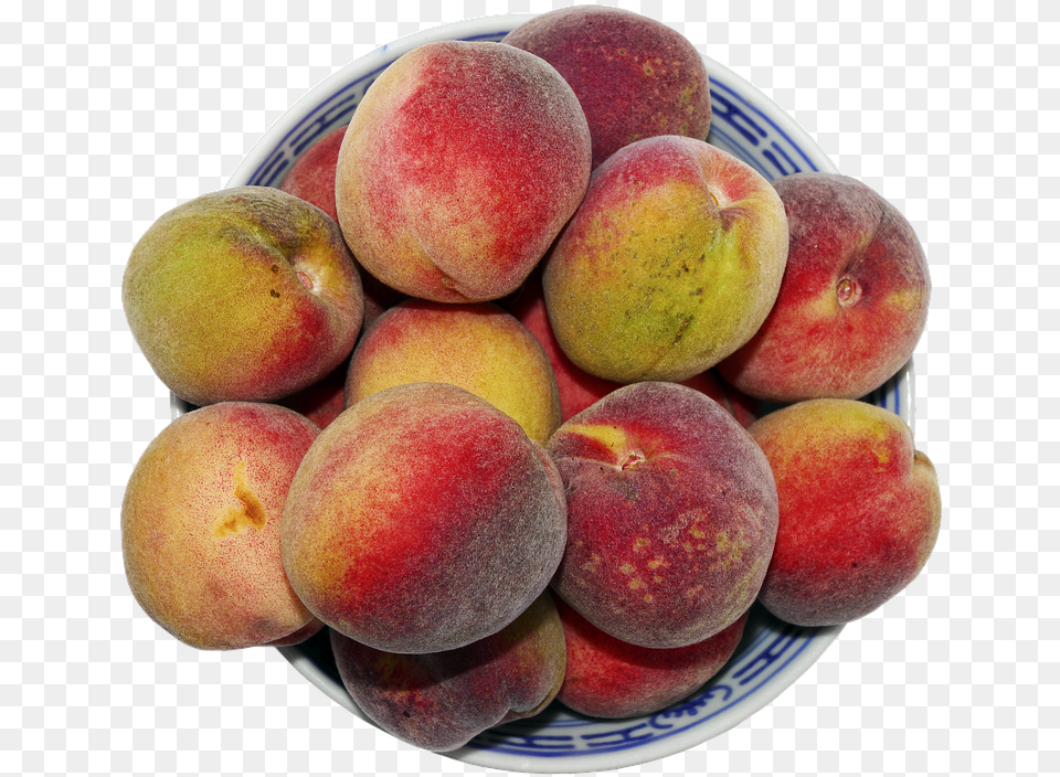 Peach Stone Fruit Fruit Bowl Round Peach Nectarines, Food, Plant, Produce, Apple Free Transparent Png