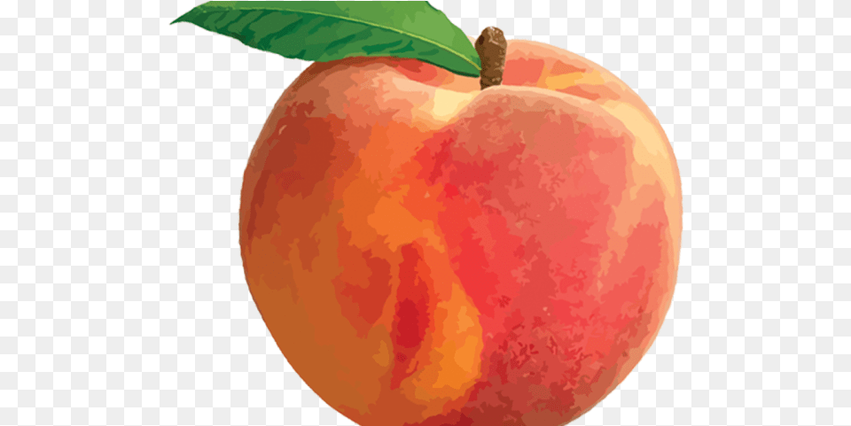 Peach Transparent Images Palisade Peach, Food, Fruit, Plant, Produce Png