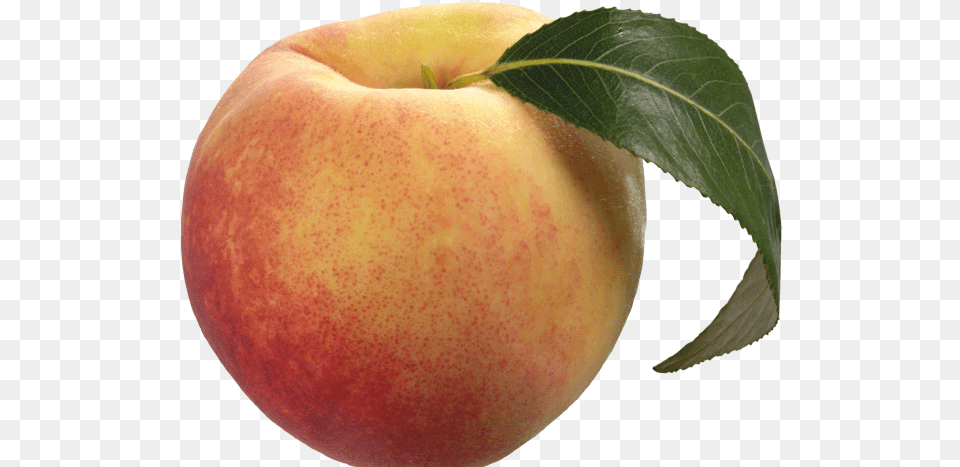 Peach Transparent Images Peach Transparent Background, Food, Fruit, Plant, Produce Free Png Download