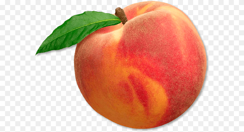 Peach Transparent Peach, Produce, Food, Fruit, Plant Png Image