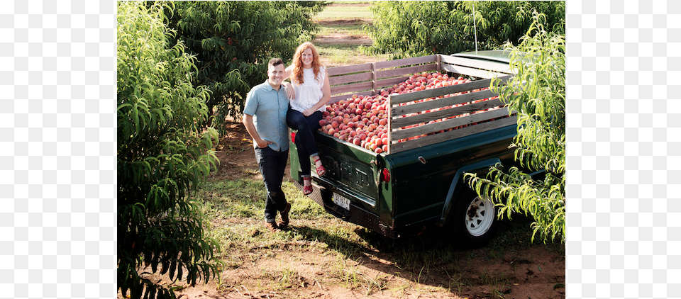 Peach Truck, Adult, Person, Man, Male Free Png Download