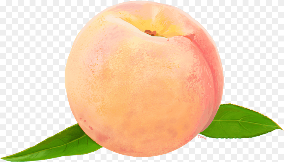 Peach Watercolor Peach Background, Food, Fruit, Plant, Produce Free Png Download