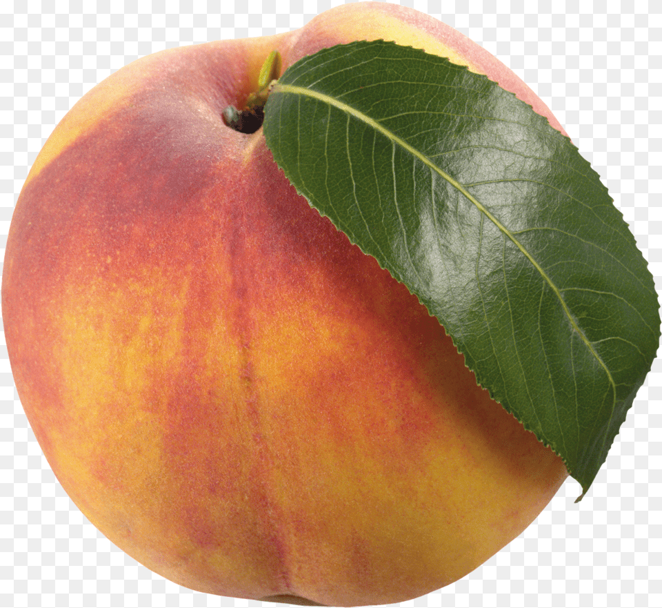 Peach With Leaf Clipart Photo Peach, Food, Fruit, Plant, Produce Free Png