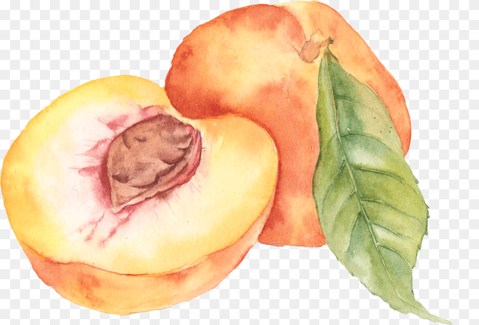 Peaches, Food, Fruit, Plant, Produce Free Transparent Png