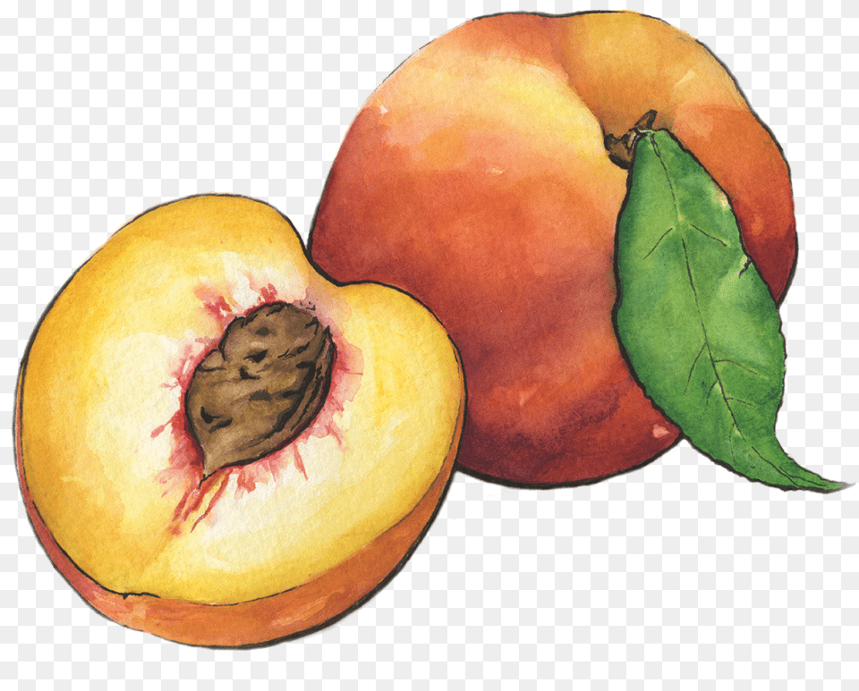 Peaches, Food, Fruit, Peach, Plant Free Png