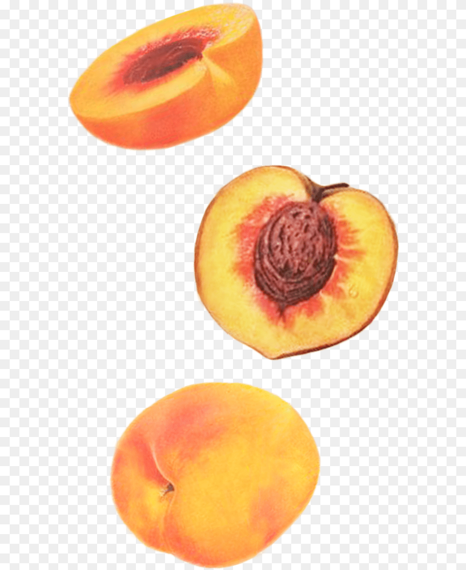 Peaches Apricot, Food, Fruit, Peach, Plant Png Image