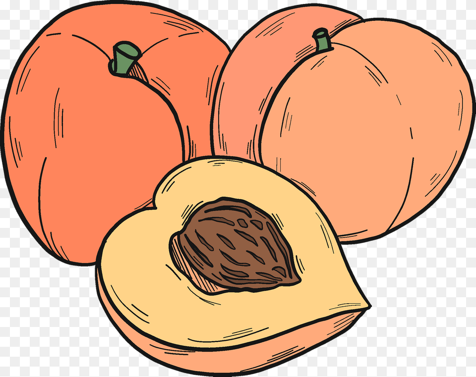 Peaches Clipart, Food, Fruit, Plant, Produce Free Png Download
