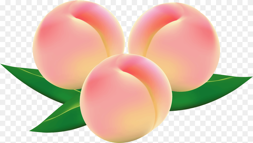 Peaches Clipart, Flower, Plant, Food, Fruit Free Transparent Png