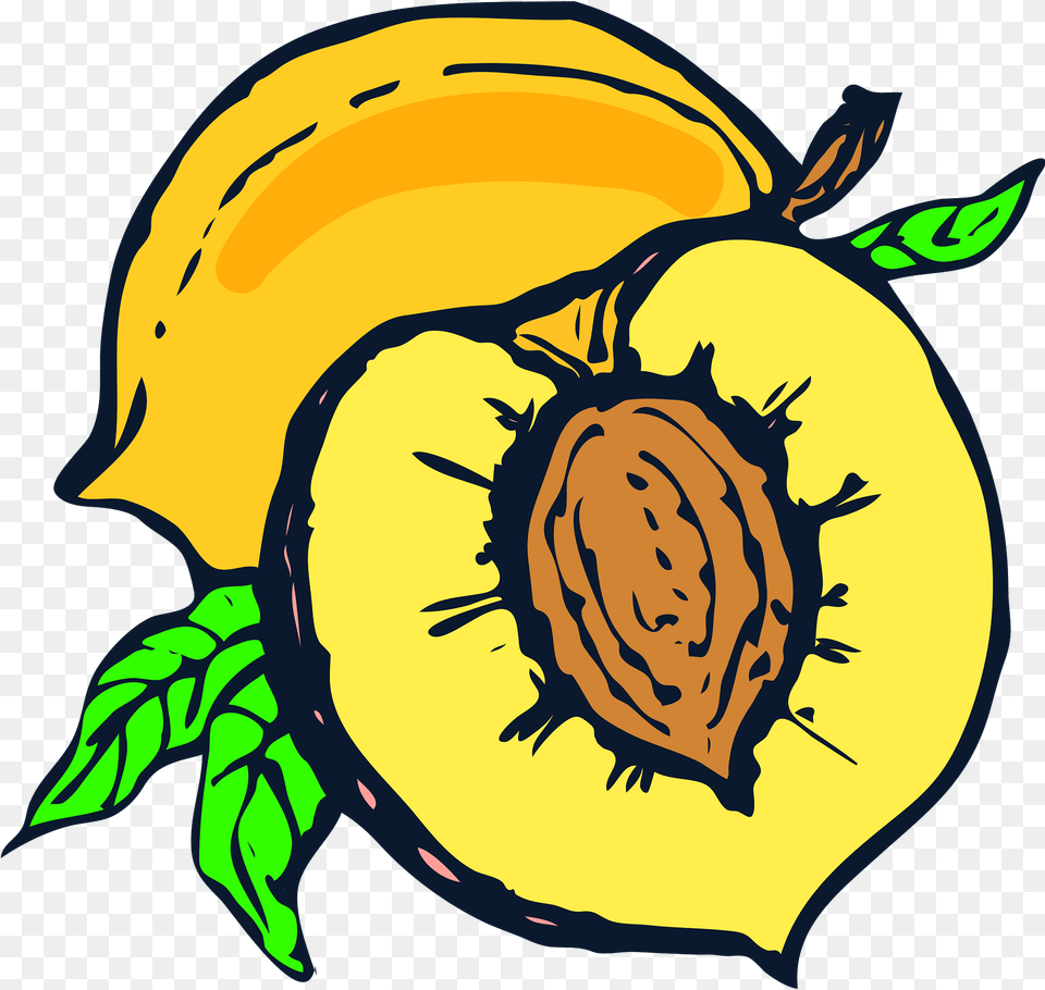 Peaches Clipart, Food, Fruit, Plant, Produce Free Png Download