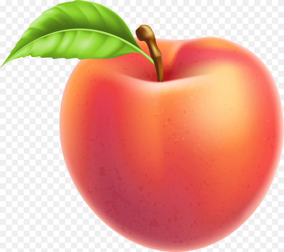 Peaches Clipart Fruit Plant Peach Fruit Clipart Png Image