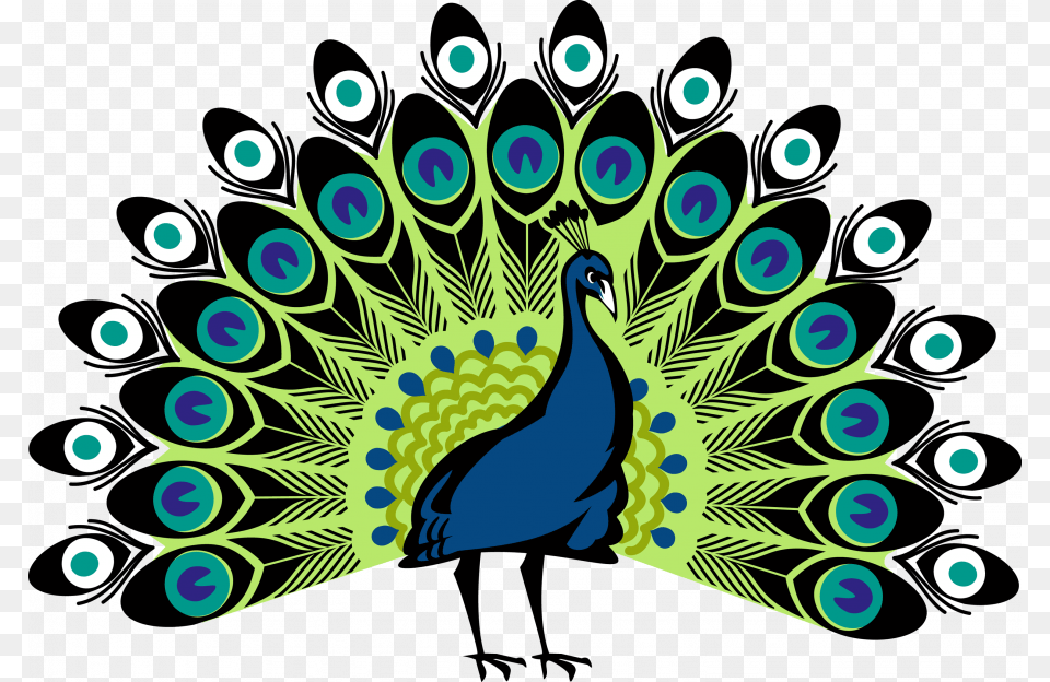 Peacock, Animal, Bird Free Png Download