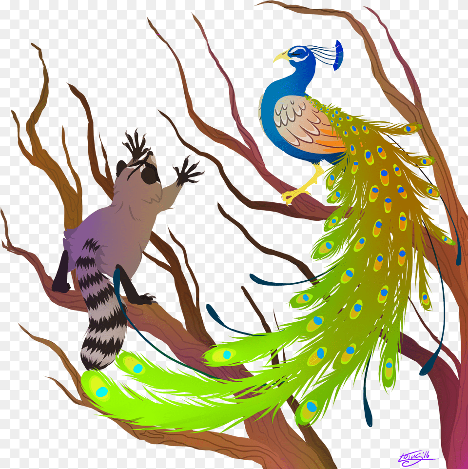 Peacock And Raccoon Raccoon Peacock, Person, Animal, Pattern, Bird Free Png Download