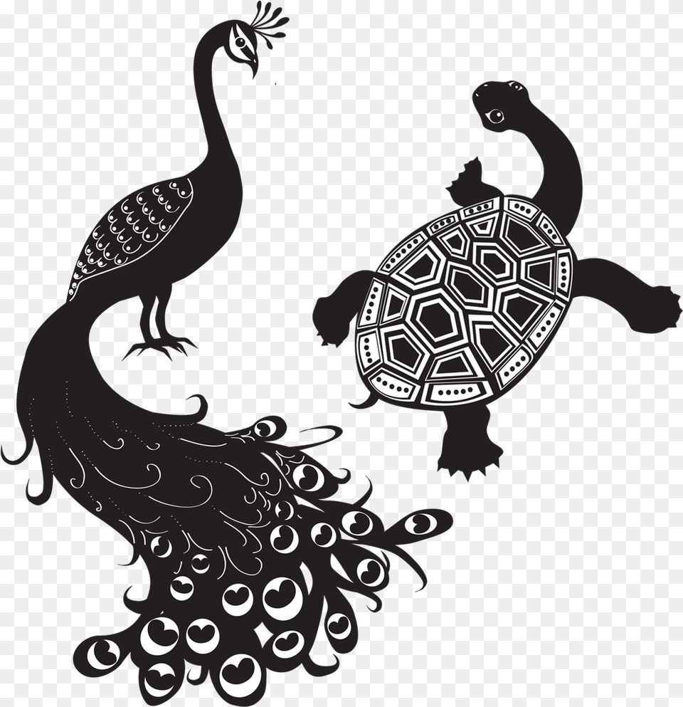 Peacock And The Tortoise Download Peacock And The Tortoise, Animal, Bird, Reptile, Sea Life Free Transparent Png