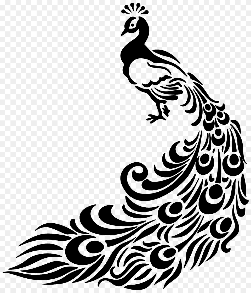 Peacock Black And White Clipart, Animal Free Png Download