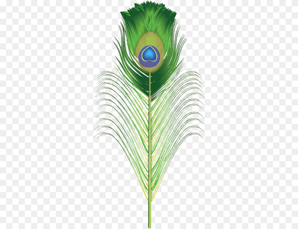 Peacock Brush For Adobe Illustrator Green Images Transparent Peacock Feather, Plant, Animal, Bird Png
