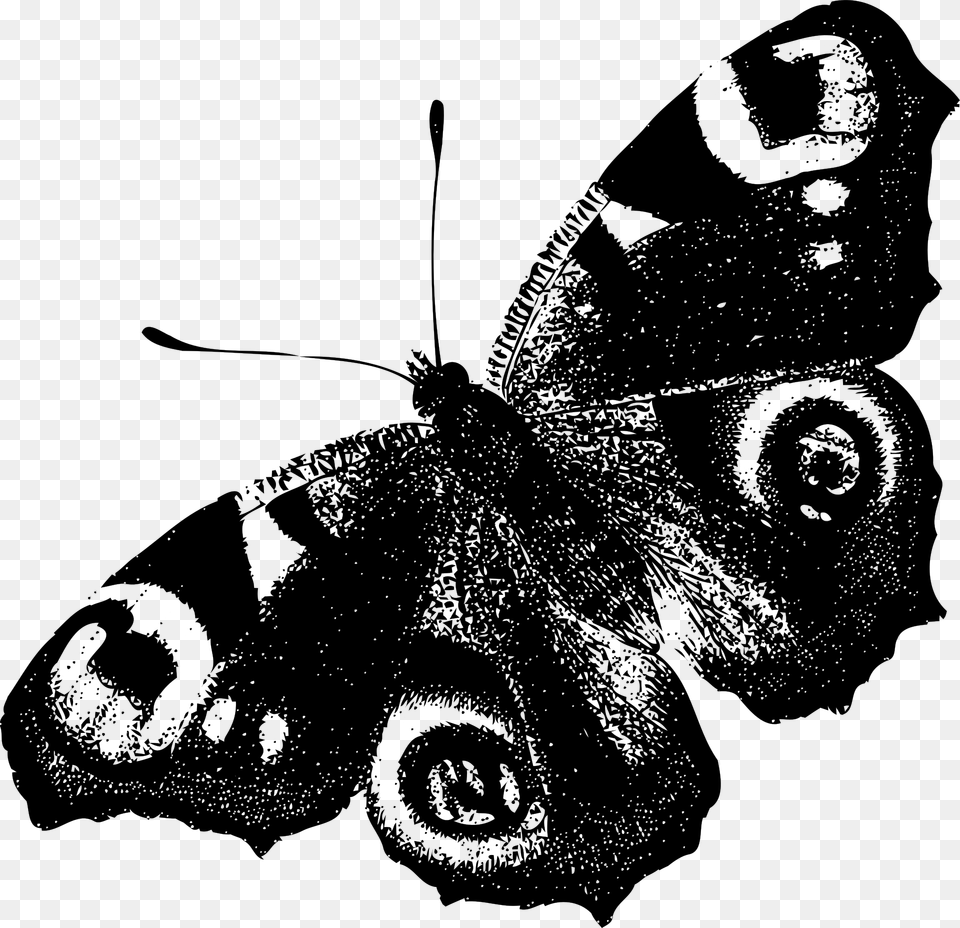 Peacock Butterfly Black And White, Gray Free Png