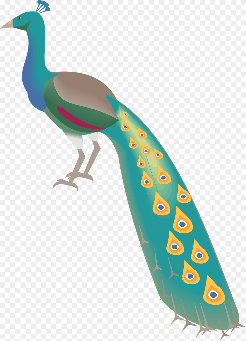 Peacock Clipart, Animal, Bird Free Png Download