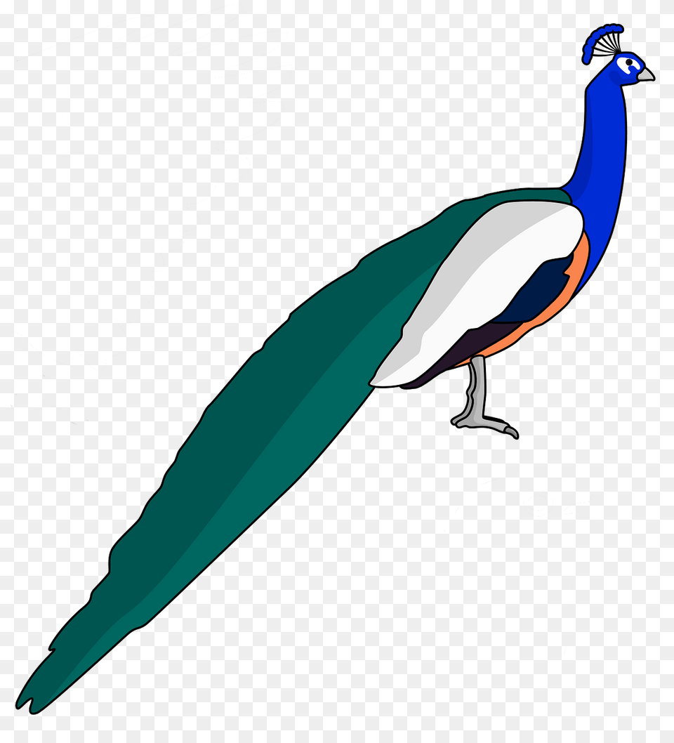 Peacock Clipart, Animal, Bird, Fish, Sea Life Free Png Download