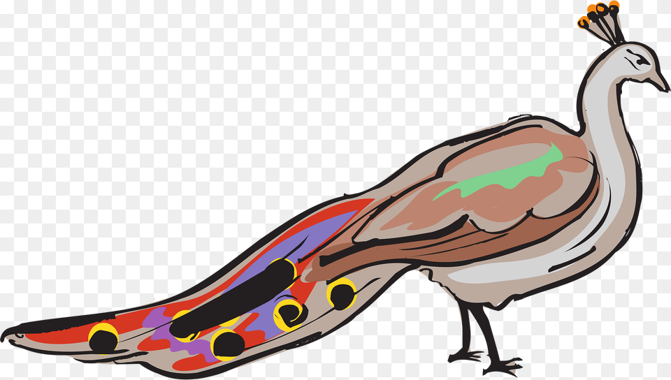 Peacock Clipart, Animal, Beak, Bird, Fish Png Image
