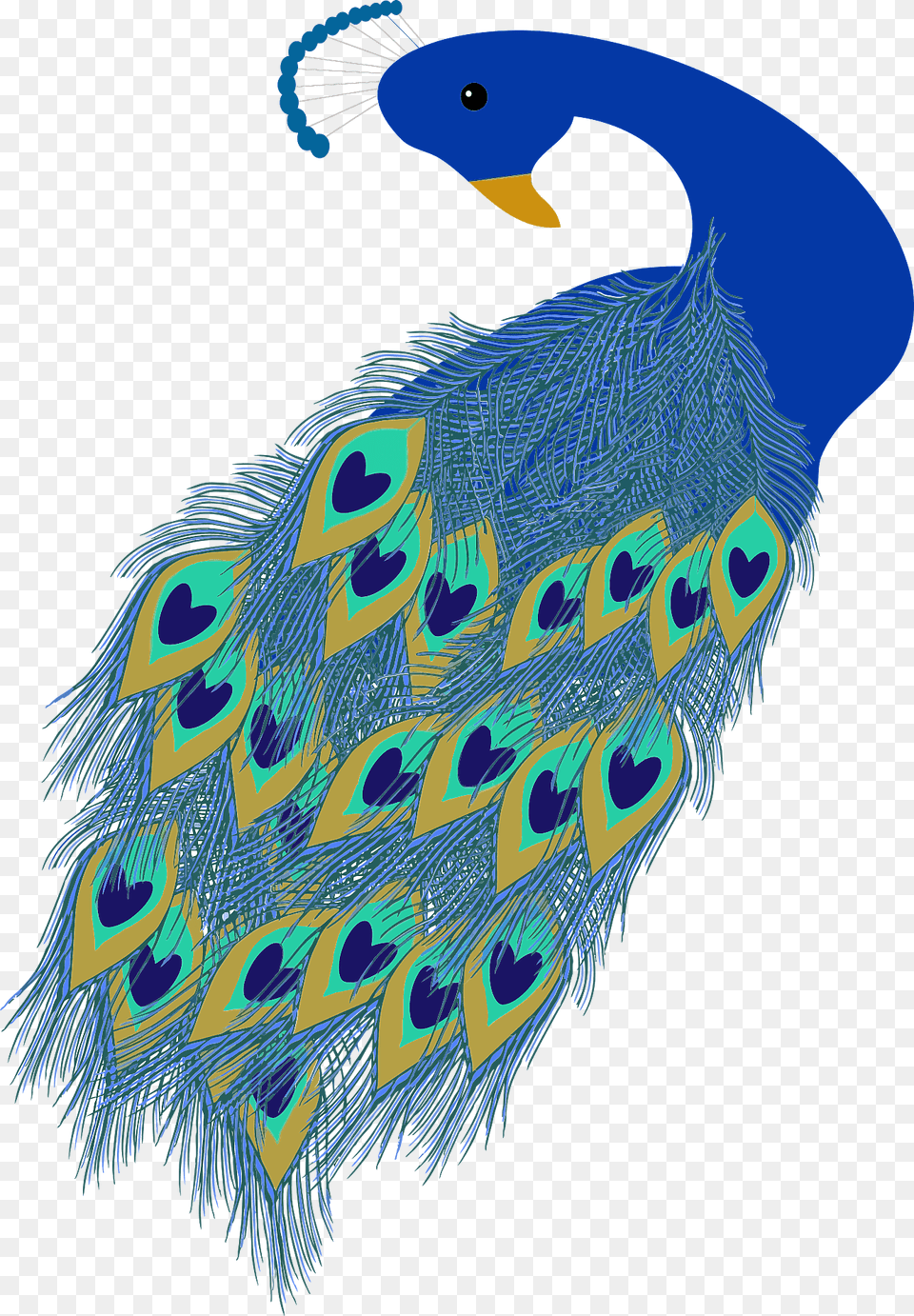 Peacock Clipart, Animal, Bird, Person Free Png