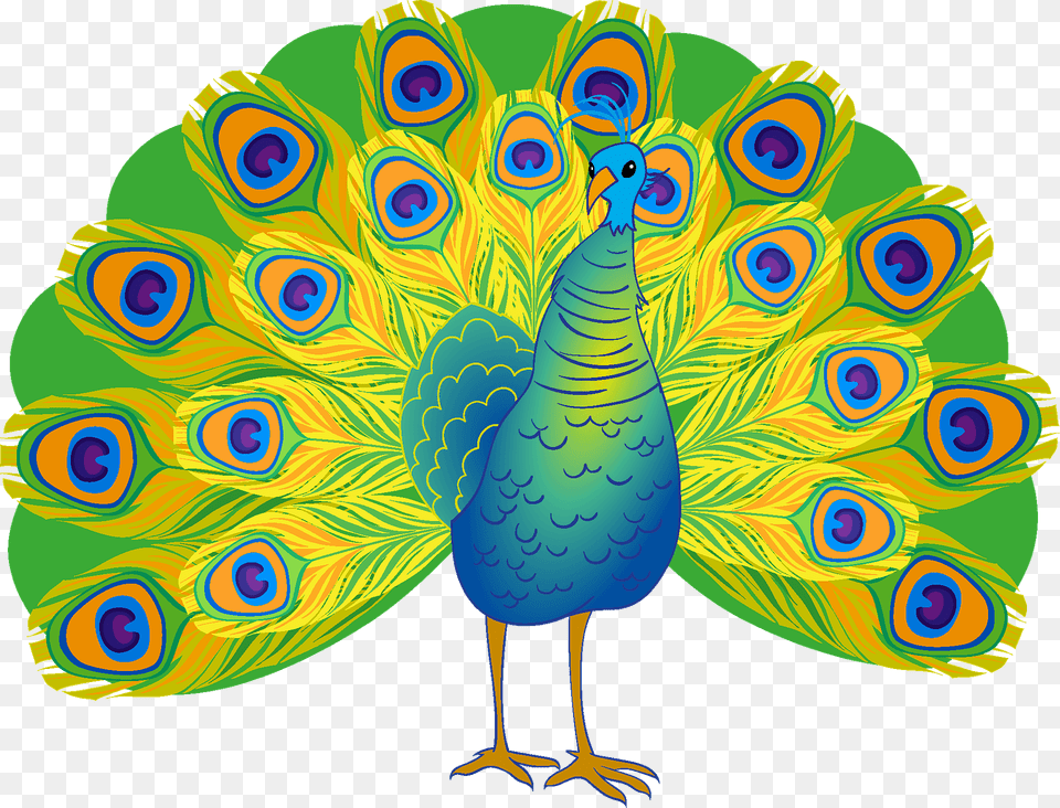 Peacock Clipart, Animal, Fish, Sea Life, Bird Free Transparent Png