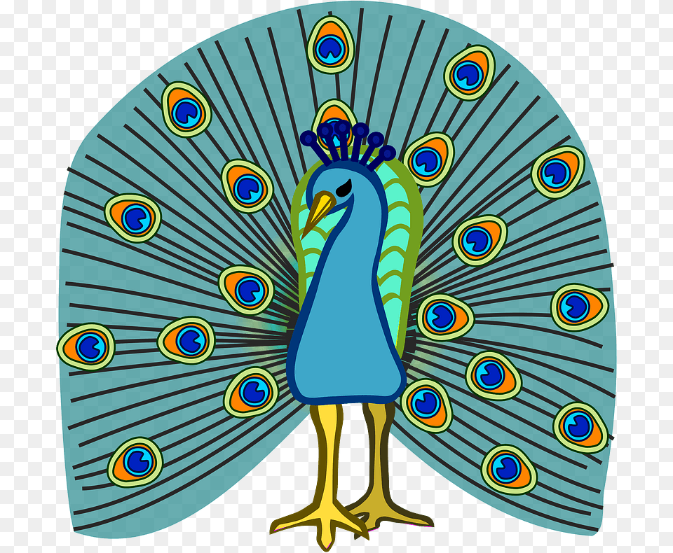 Peacock Clipart Clip Art, Animal, Bird, Penguin Free Transparent Png