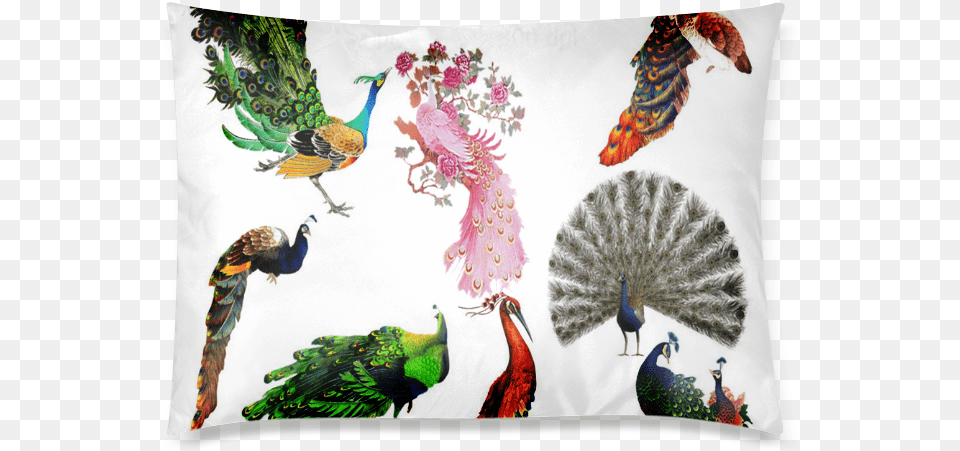 Peacock Clipart Custom Zippered Pillow Case 20 X30 Duvet, Animal, Beak, Bird, Cushion Free Transparent Png