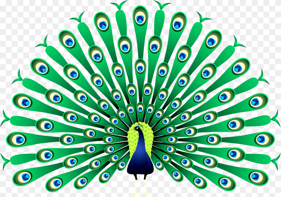 Peacock Clipart India, Animal, Bird, Fish, Sea Life Free Png Download
