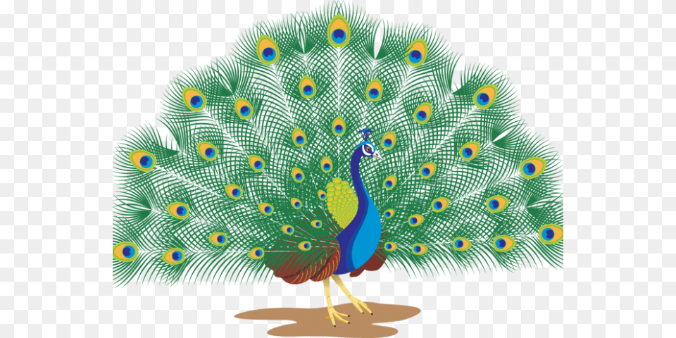 Peacock Clipart Peacock Dance Peacock With White Background, Animal, Bird Free Png