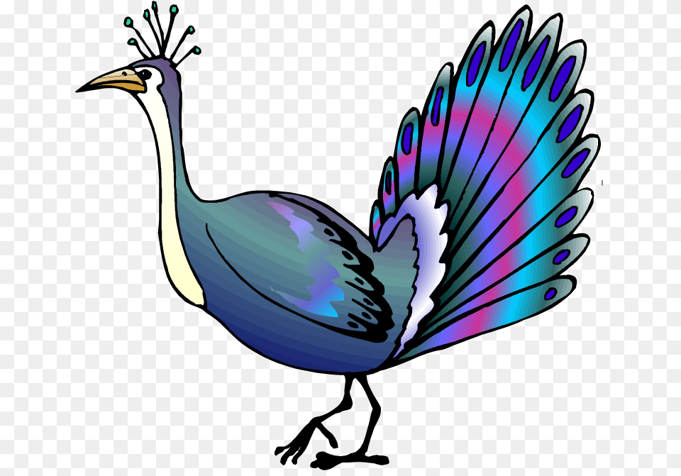 Peacock Clipart To Print Peacock Clipart, Animal, Beak, Bird, Penguin Png