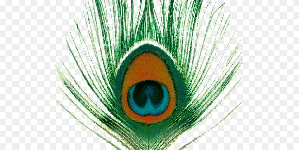 Peacock Clipart Transparent Background Apple Venus Vol, Animal, Bird, Person Free Png