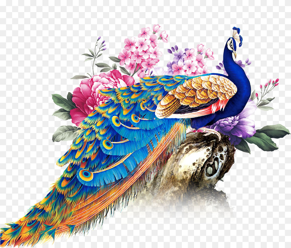 Peacock Decor Peacock Art Photo Booth Backdrop Helmet, Animal, Bird Png Image